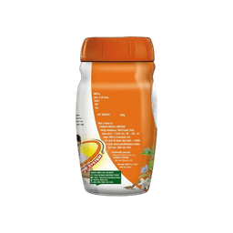 Dabur Chyawanprakash Sugarfree thumbnail 2