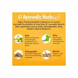 Dabur Chyawanprakash Sugarfree thumbnail 3